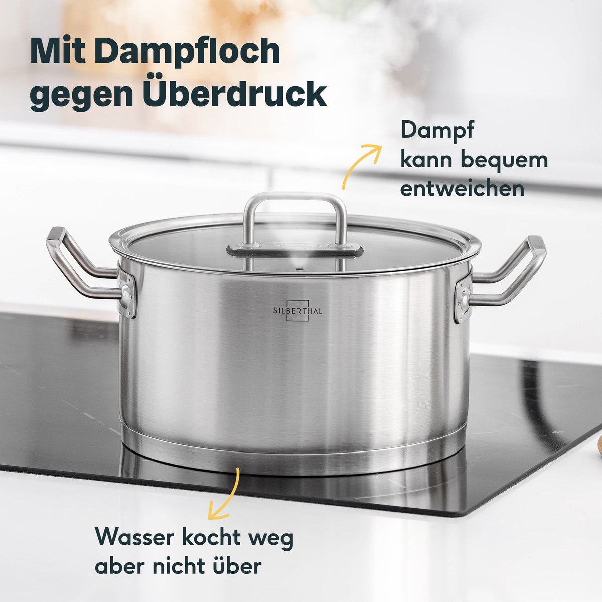 Topfdeckel 24 cm zum Einhängen