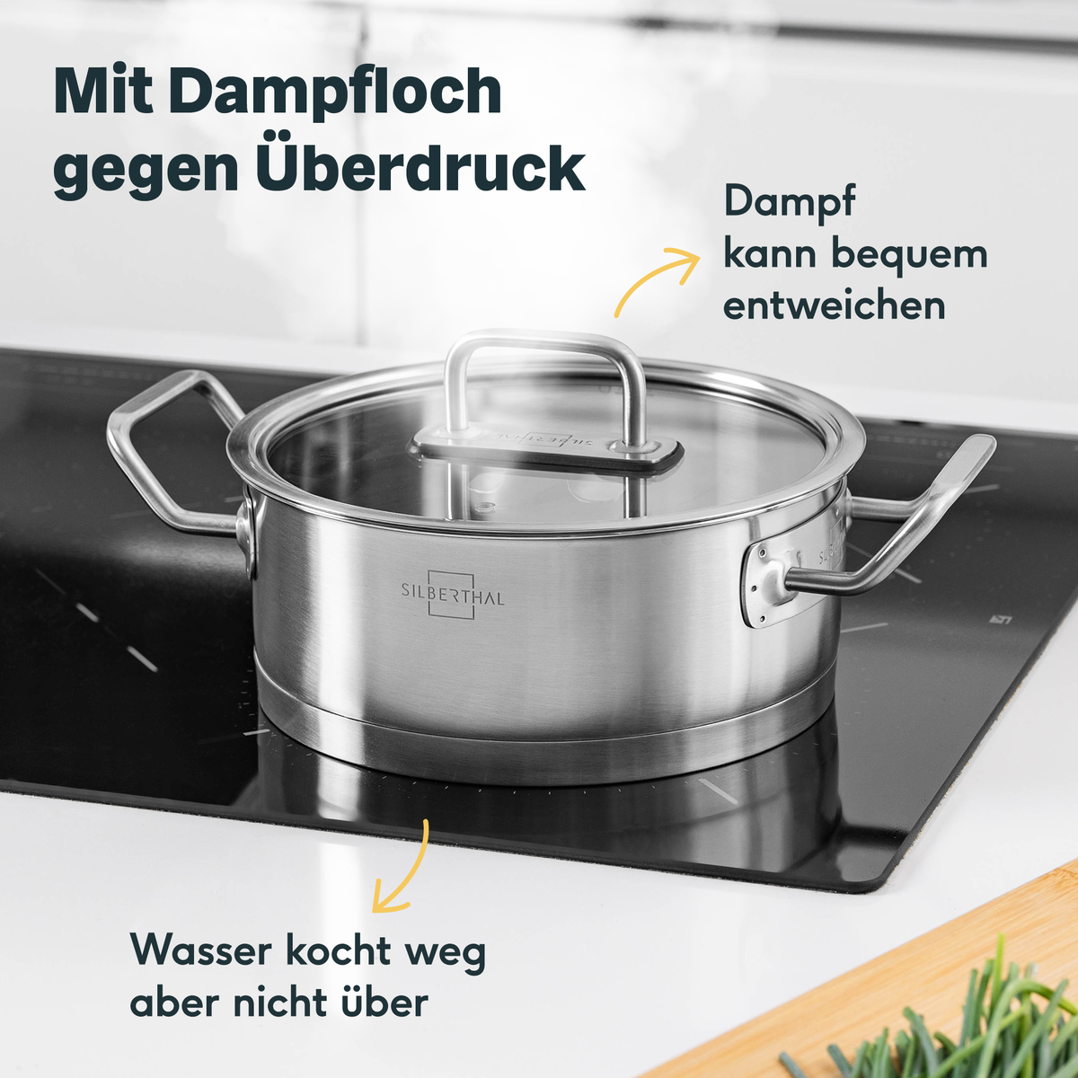 Topfdeckel 20 cm zum Einhängen
