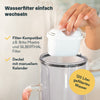 Wasserfilterkanne aus Glas für 2,7 Liter bestes Trinkwasser - ohne Kartusche